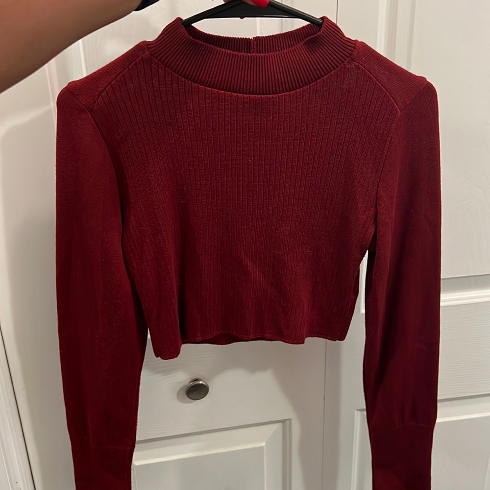 Forever 21 Cropped Maroon Turtleneck Sweater